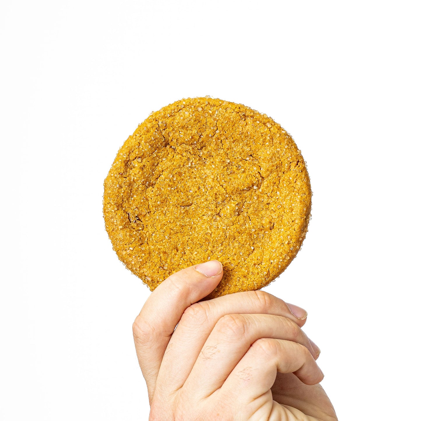 PUMPKIN SPICE SPLENDOR